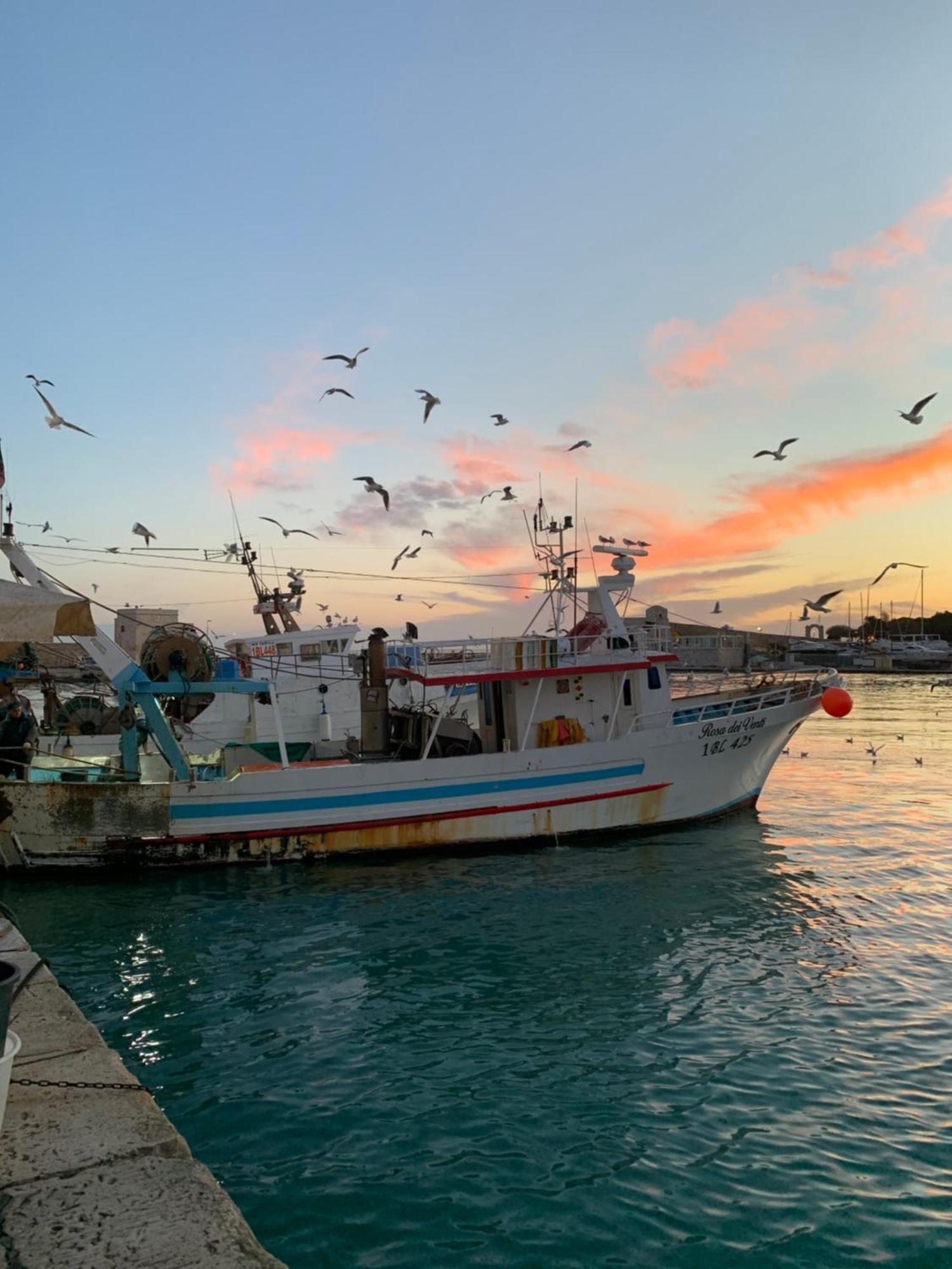 Vischi Apartment Trani By Le Marinelle Loc Turistica Zewnętrze zdjęcie