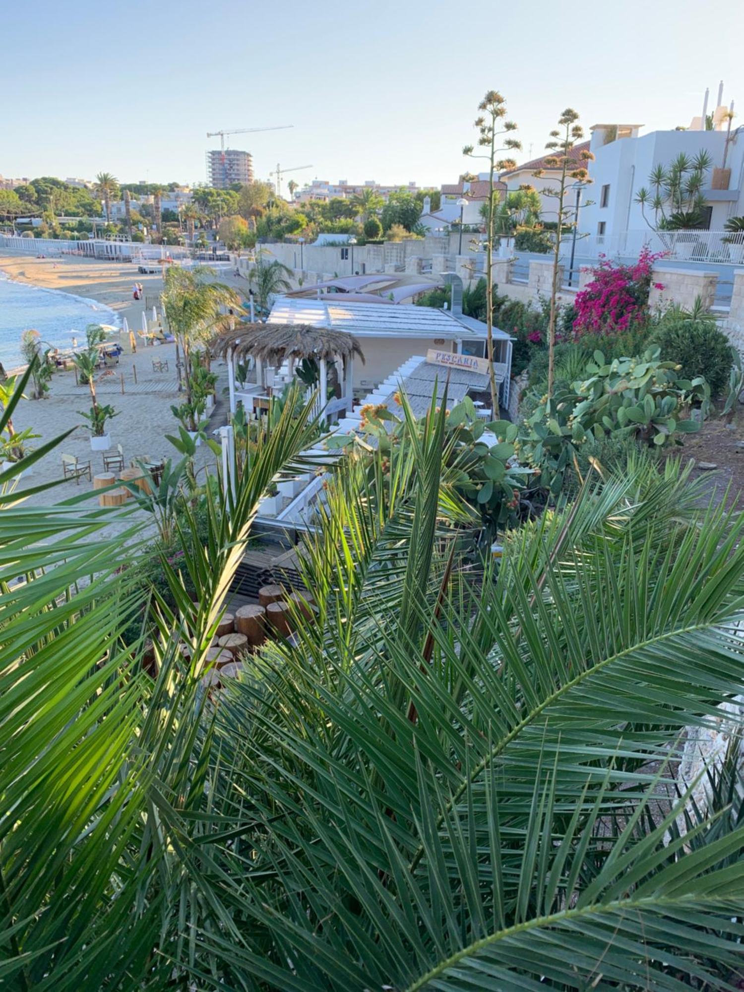 Vischi Apartment Trani By Le Marinelle Loc Turistica Zewnętrze zdjęcie